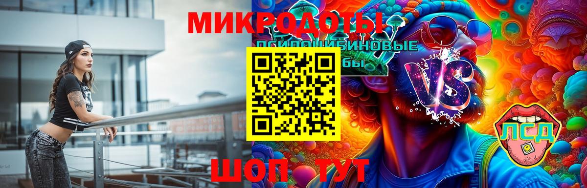 Новоалександровск  Галлюциногенные грибы Psilocybe  Вход с VPN 