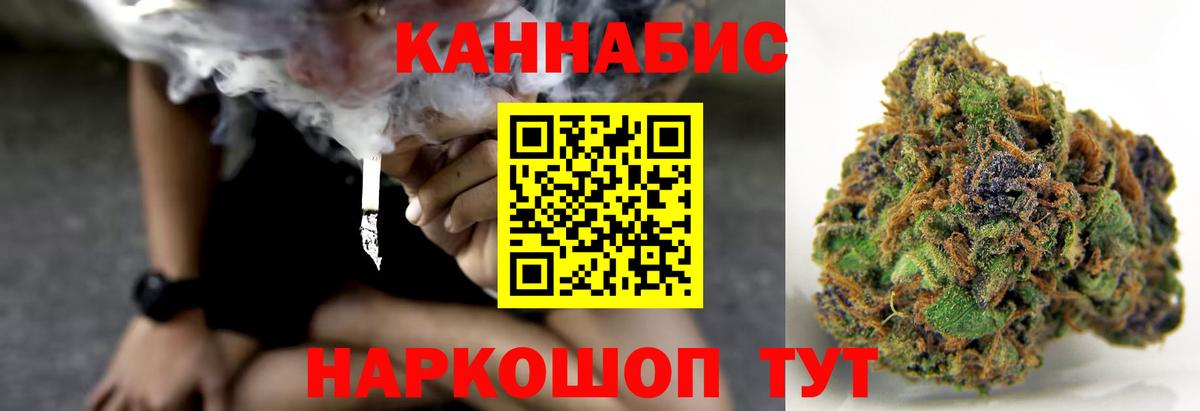 Новоалександровск  Бошки Шишки сатива  Вход с VPN  Бошки марихуана планчик  Канабис сатива 